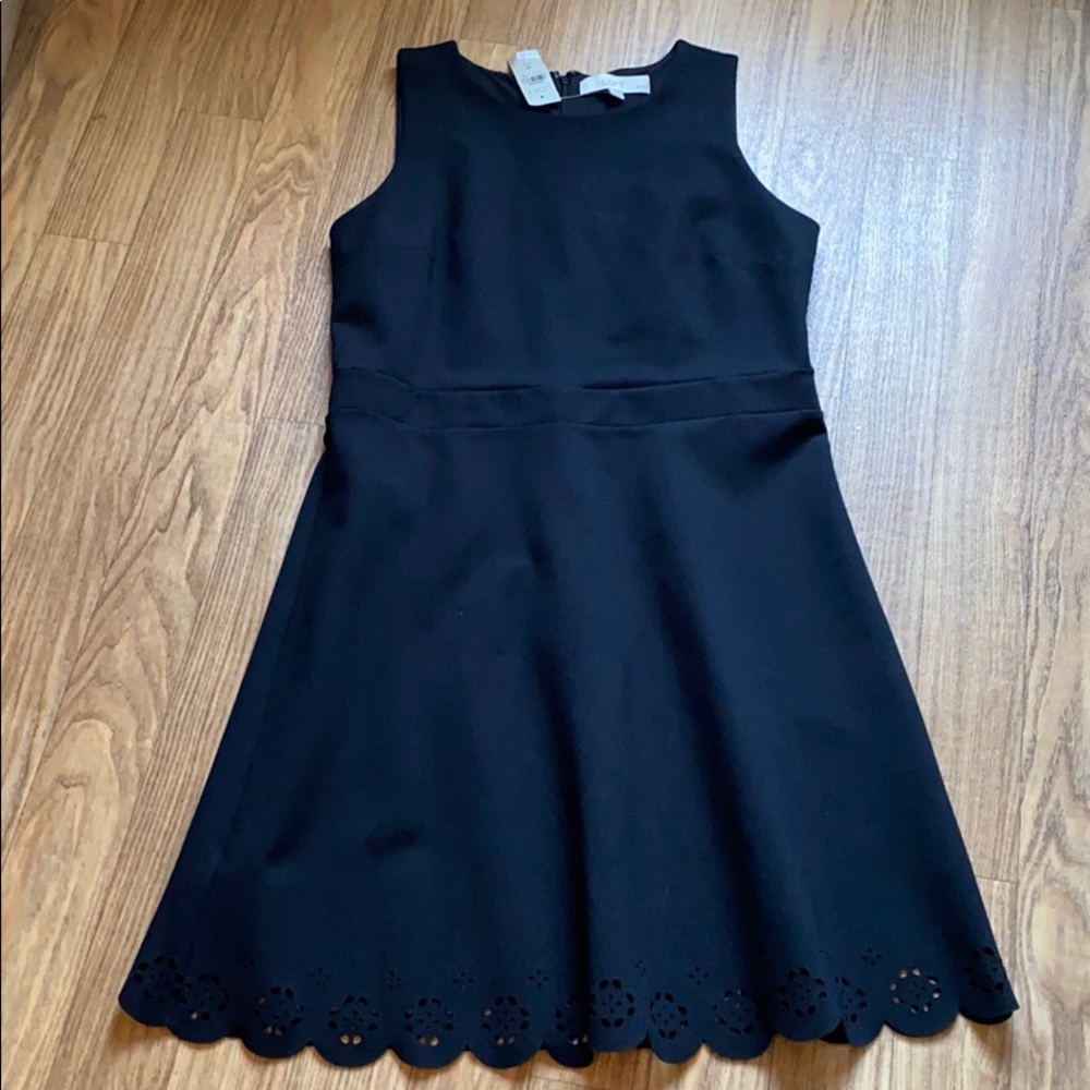 Loft | Adorable Little Black Dress NWT